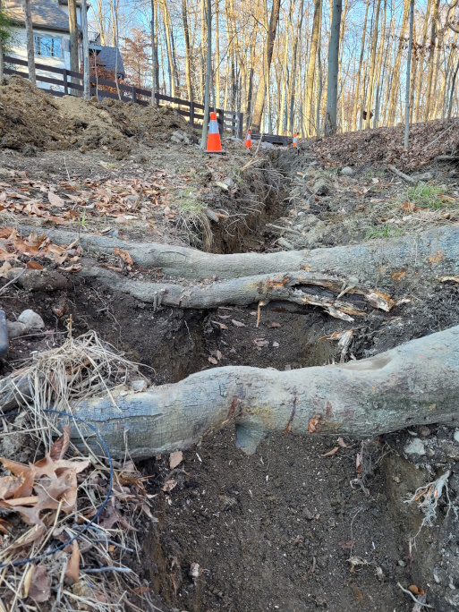 Adding a french drain to a wooded area